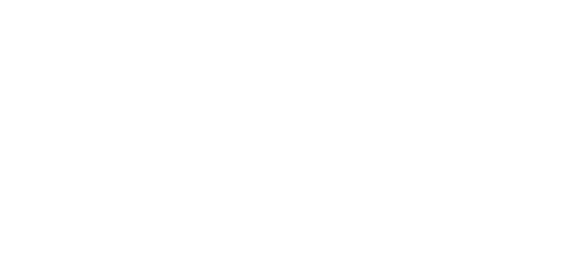 APEX Experts AI Solutions