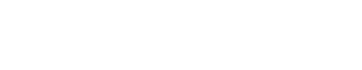 APEX Experts AI Solutions